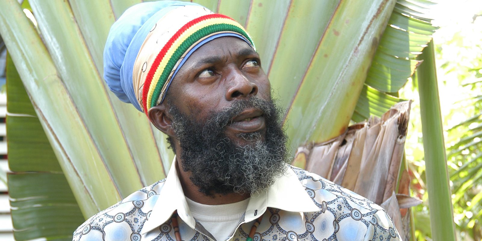 capleton & the prophecy band